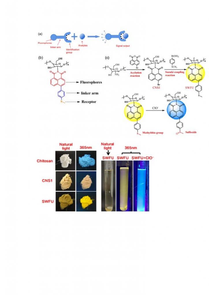 材料与化学工程学院本科生以第一作者在《Materials Today Chemistry》发表研究成果