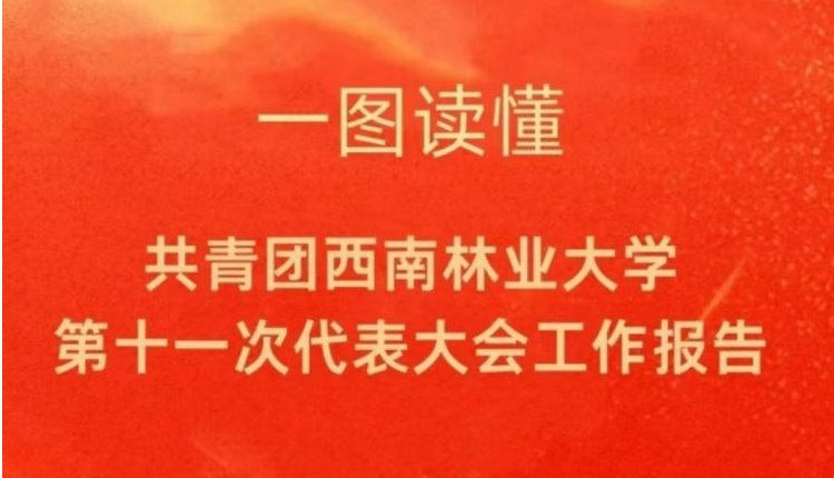 划重点！一图读懂共青团西南林业大学第十一次代表大会工作报告