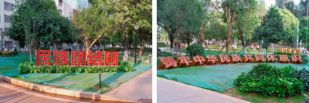 西南林业大学开展第二届铸牢中华民族共同体意识教育实践活动