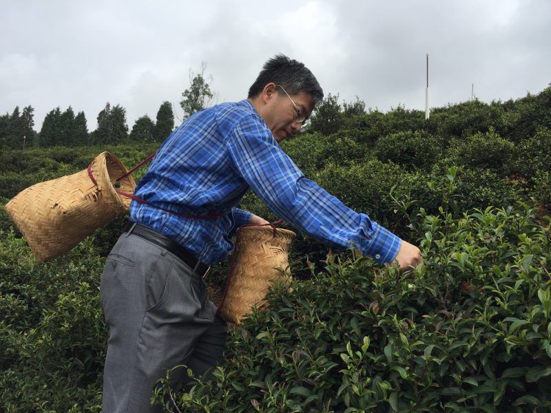 我校蓝增全教授入选2022年“最美林草科技工作者”