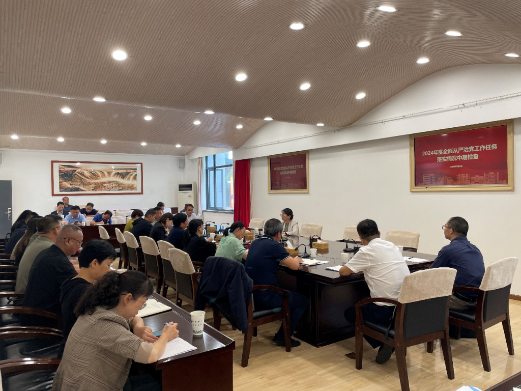校领导开展全面从严治党工作任务落实情况中期检查