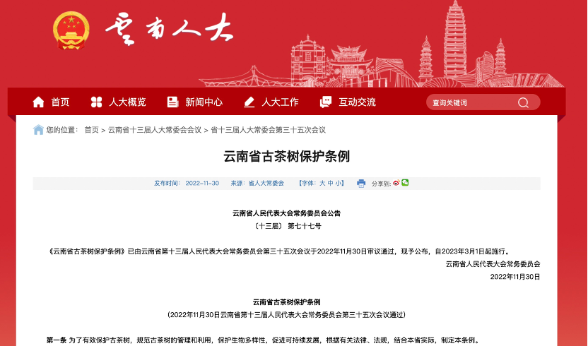 西南林业大学在古茶树研究领域取得新成绩