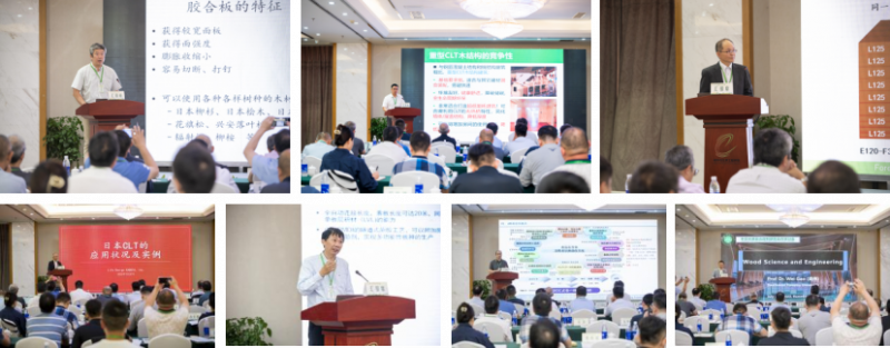 学校举办中日木质复合材料研究合作研讨会