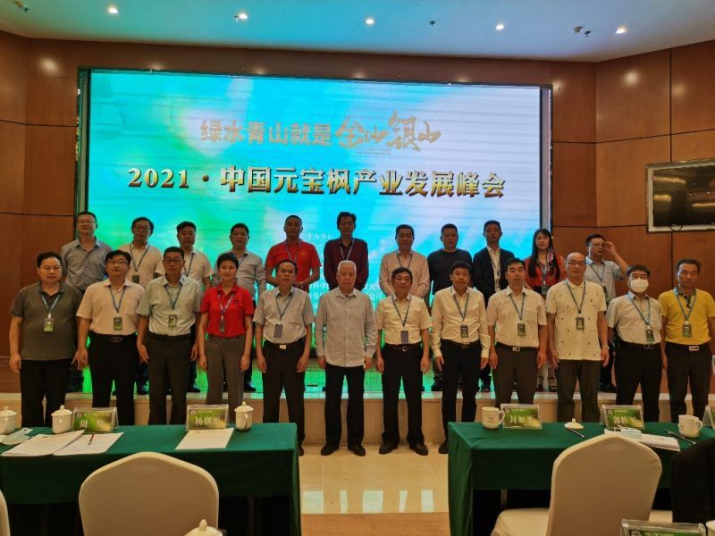 我校教师参加中国元宝枫产业发展峰会
