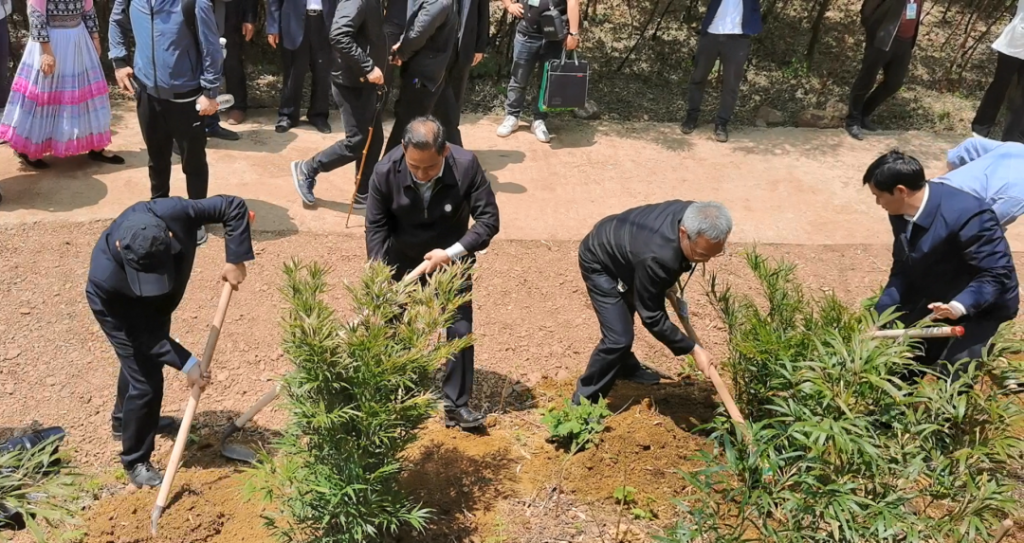 学校党委书记率队参加大关县首届筇竹文化节并开展定点帮扶工作