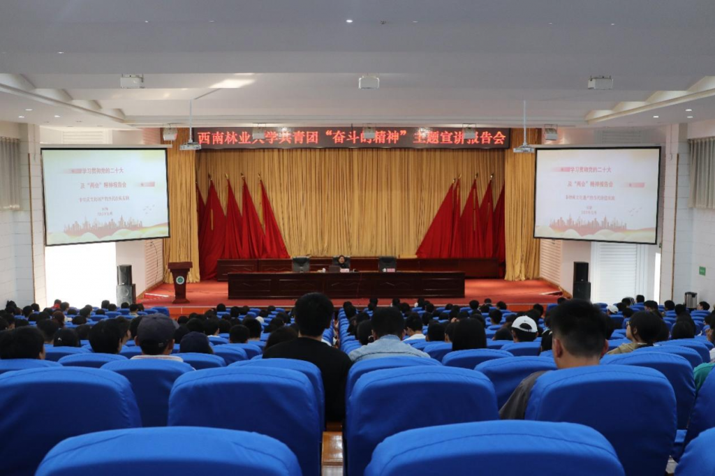 校团委举行“奋斗的精神”主题宣讲报告会