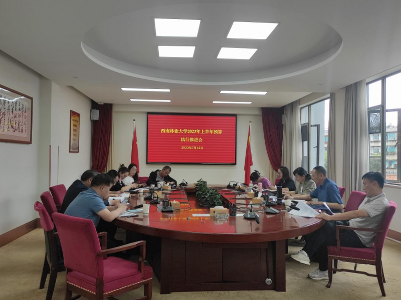学校召开2023年上半年预算执行推进会