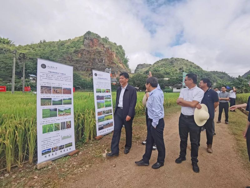 校领导带队出席旱地水稻助力乡村振兴现场会暨院士专家咨询会